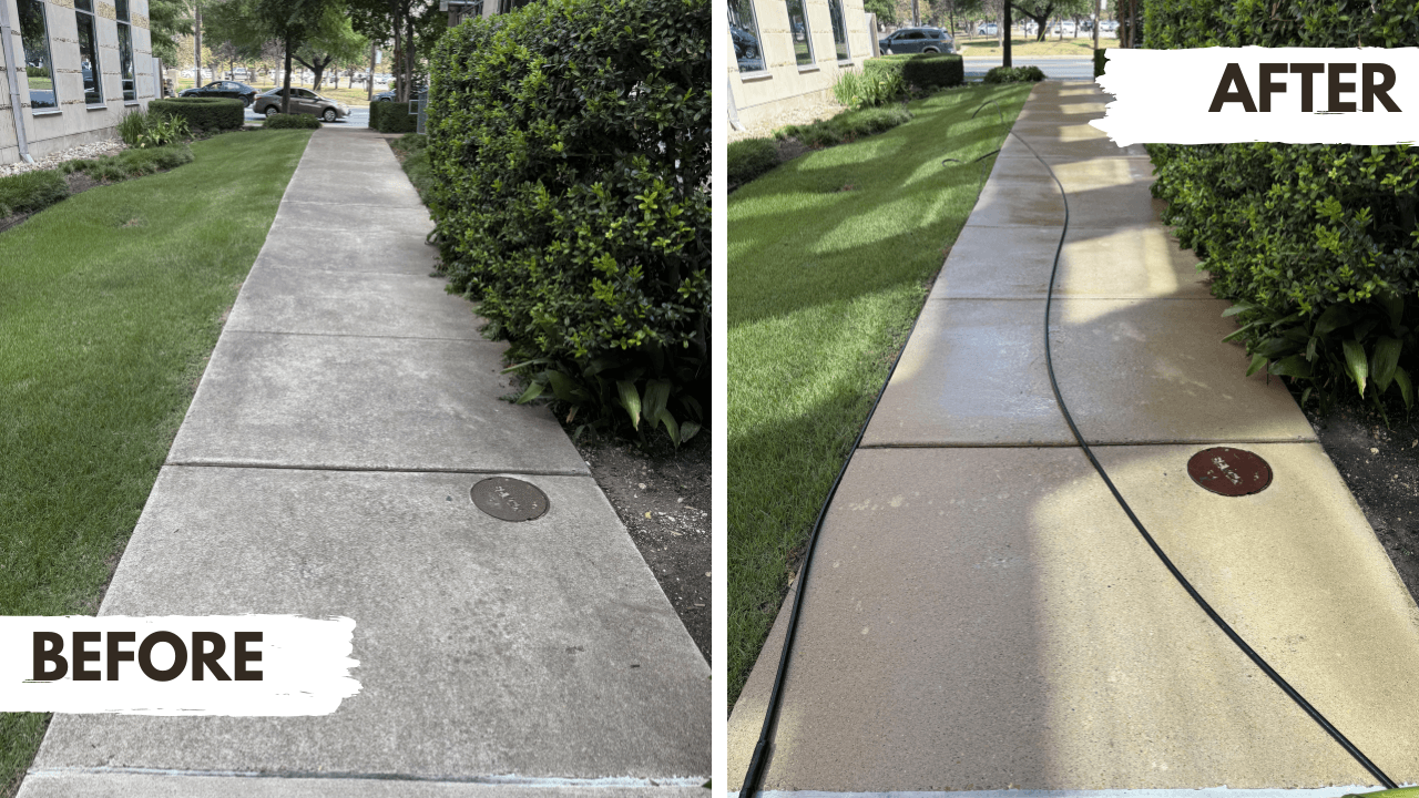 Sidewalk & Walkway Cleaning
